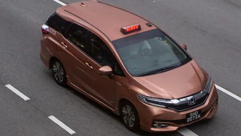 Prime Taxi copper Honda Shuttle MPV